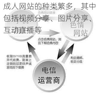 成人网站的种类繁多，其中包括视频分享、图片分享、互动直播等