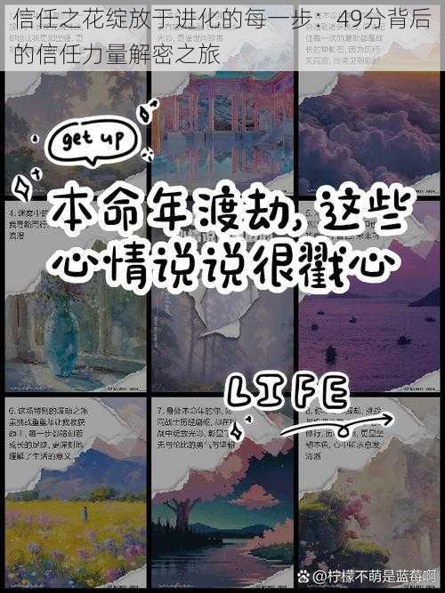 信任之花绽放于进化的每一步：49分背后的信任力量解密之旅