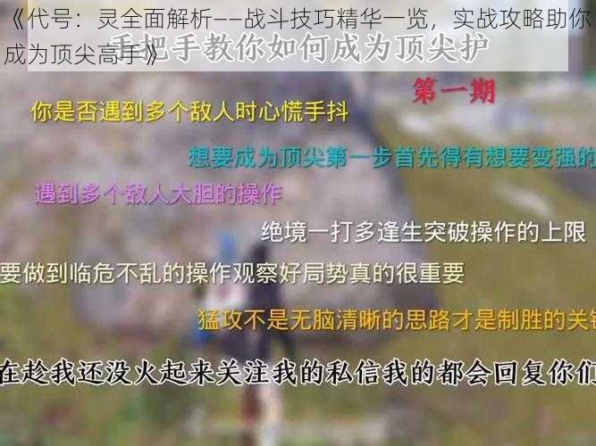 《代号：灵全面解析——战斗技巧精华一览，实战攻略助你成为顶尖高手》