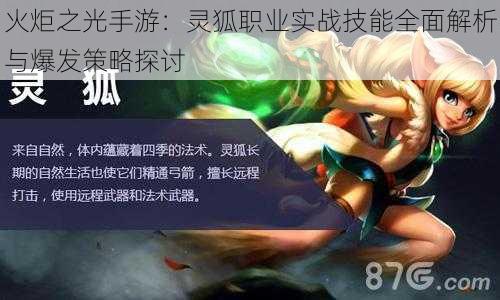 火炬之光手游：灵狐职业实战技能全面解析与爆发策略探讨