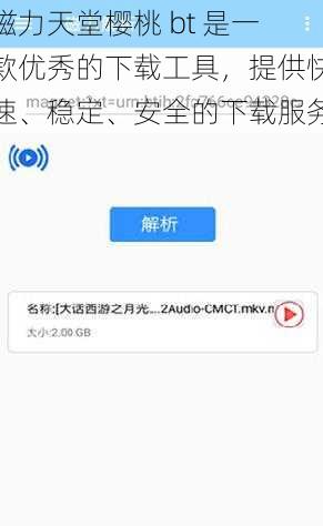 磁力天堂樱桃 bt 是一款优秀的下载工具，提供快速、稳定、安全的下载服务