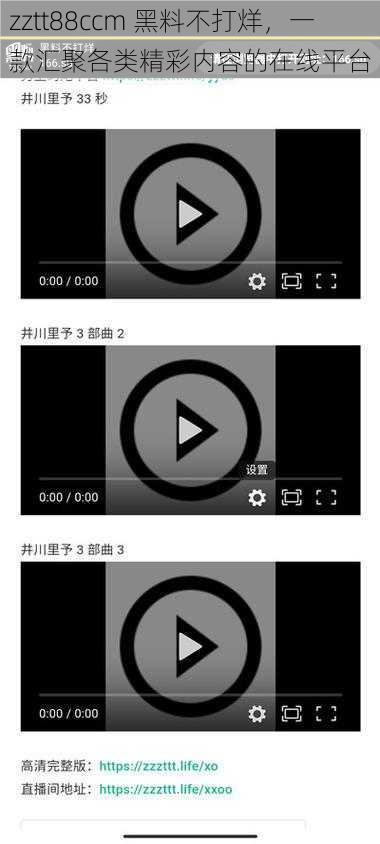 zztt88ccm 黑料不打烊，一款汇聚各类精彩内容的在线平台