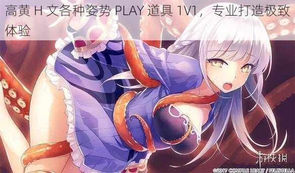 高黄 H 文各种姿势 PLAY 道具 1V1，专业打造极致体验