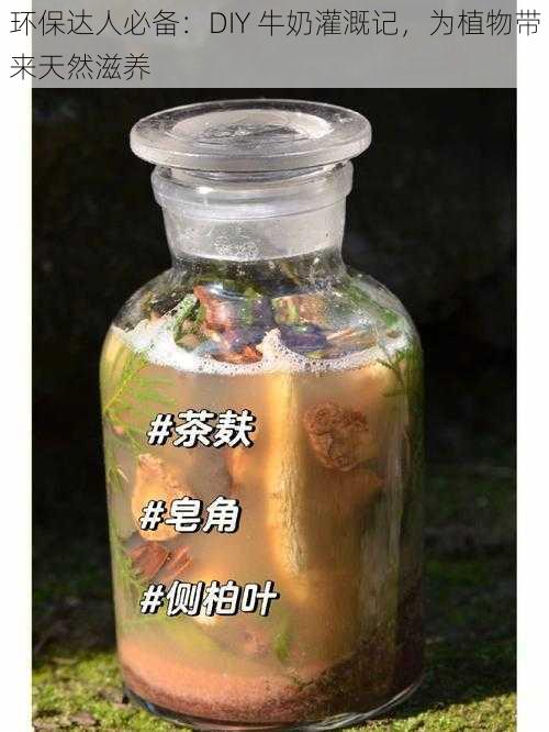 环保达人必备：DIY 牛奶灌溉记，为植物带来天然滋养