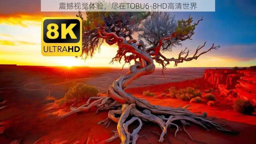 震撼视觉体验，尽在TOBU6-8HD高清世界