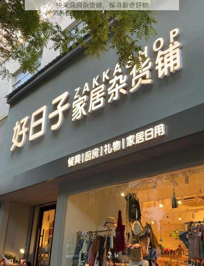 快来洞洞杂货铺，探寻新奇好物