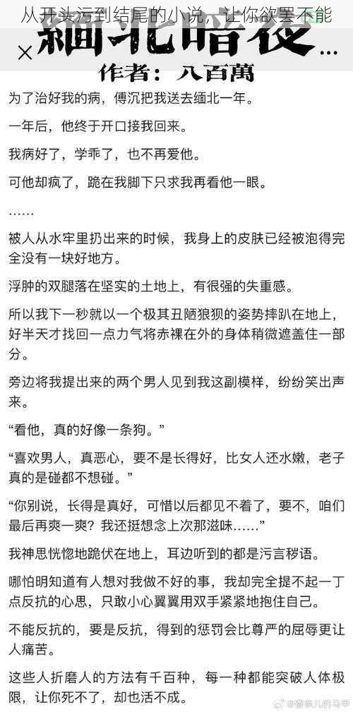 从开头污到结尾的小说，让你欲罢不能