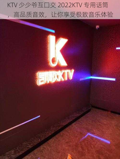 KTV 少少爷互囗交 2022KTV 专用话筒，高品质音效，让你享受极致音乐体验