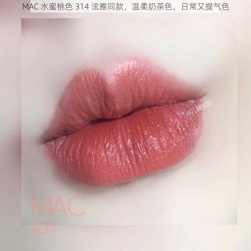 MAC 水蜜桃色 314 泫雅同款，温柔奶茶色，日常又提气色