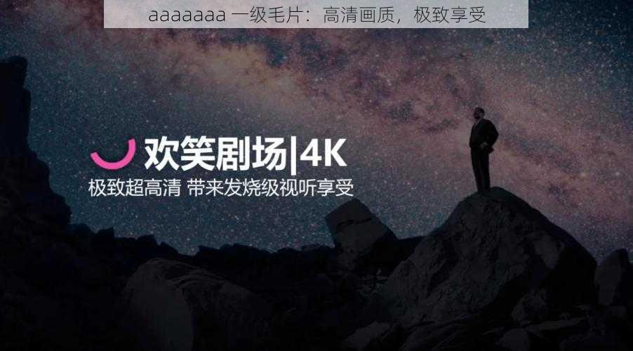 aaaaaaa 一级毛片：高清画质，极致享受