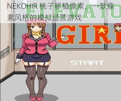 NEKOHIR 桃子移植像素，一款像素风格的模拟经营游戏