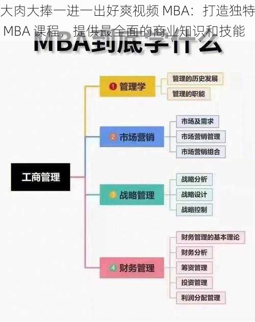 大肉大捧一进一出好爽视频 MBA：打造独特 MBA 课程，提供最全面的商业知识和技能