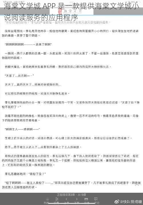 海棠文学城 APP 是一款提供海棠文学城小说阅读服务的应用程序