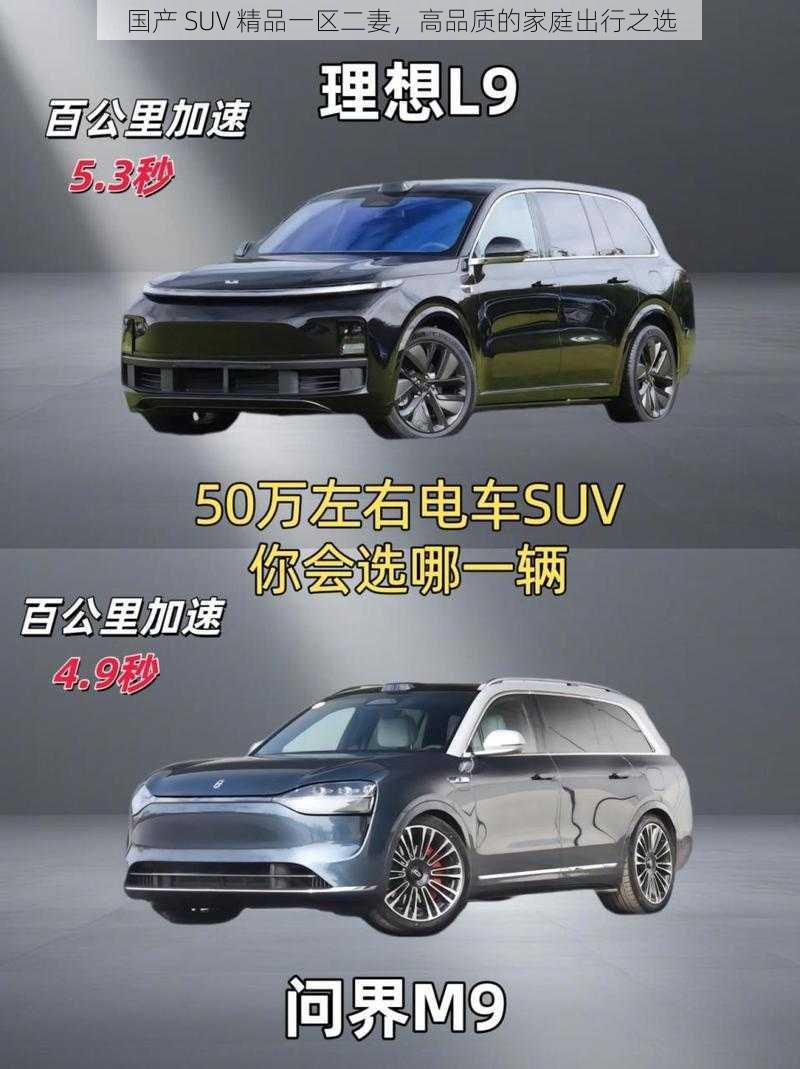 国产 SUV 精品一区二妻，高品质的家庭出行之选