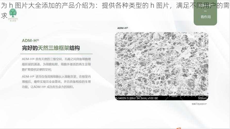 为 h 图片大全添加的产品介绍为：提供各种类型的 h 图片，满足不同用户的需求