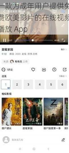 一款为成年用户提供免费欧美影片的在线视频播放 App