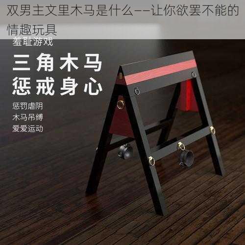 双男主文里木马是什么——让你欲罢不能的情趣玩具