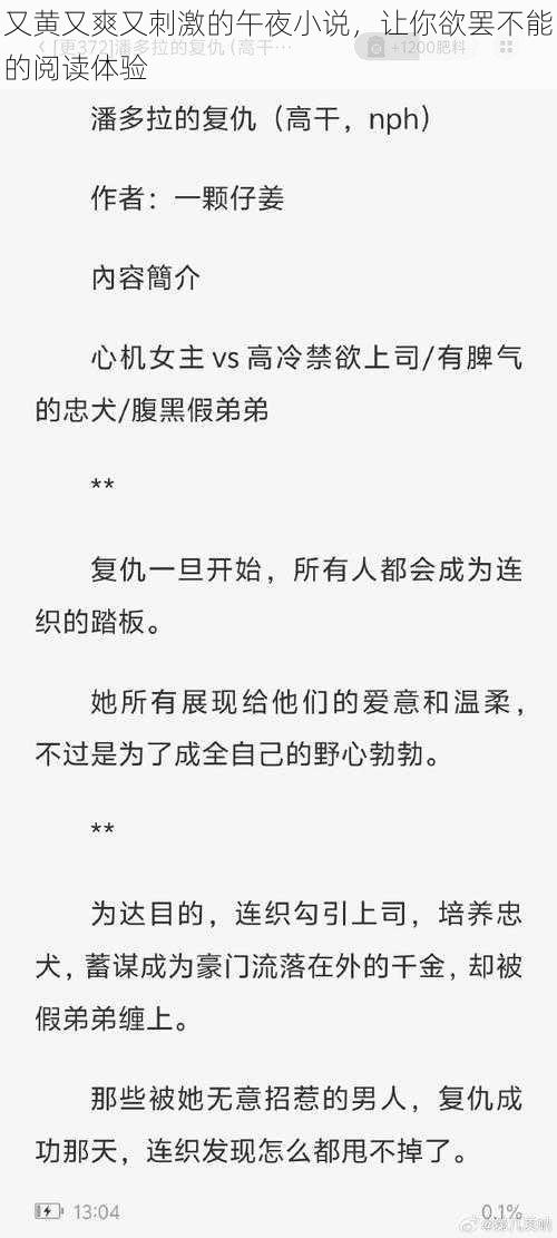 又黄又爽又刺激的午夜小说，让你欲罢不能的阅读体验