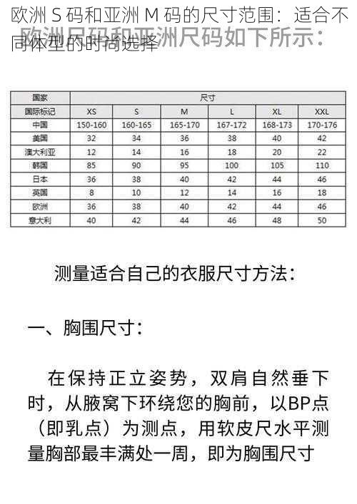 欧洲 S 码和亚洲 M 码的尺寸范围：适合不同体型的时尚选择