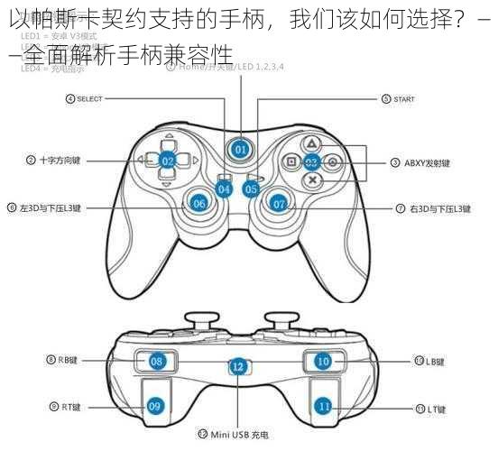 以帕斯卡契约支持的手柄，我们该如何选择？——全面解析手柄兼容性