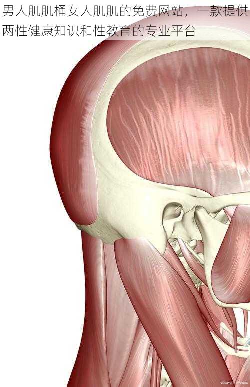 男人肌肌桶女人肌肌的免费网站，一款提供两性健康知识和性教育的专业平台