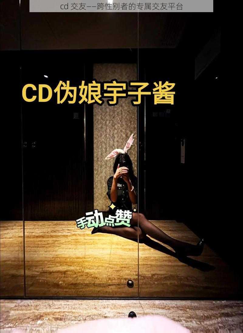 cd 交友——跨性别者的专属交友平台