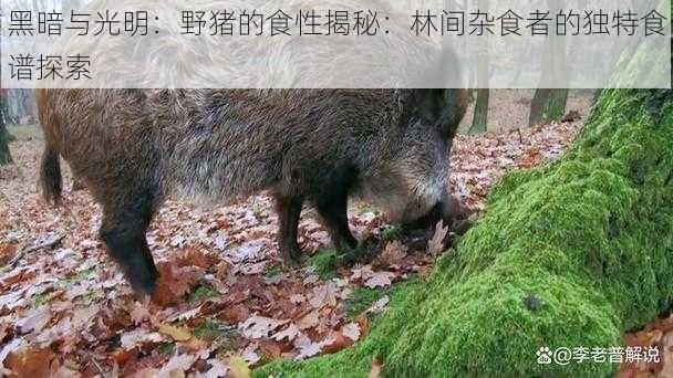 黑暗与光明：野猪的食性揭秘：林间杂食者的独特食谱探索