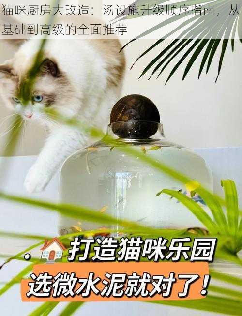 猫咪厨房大改造：汤设施升级顺序指南，从基础到高级的全面推荐