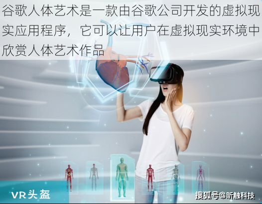 谷歌人体艺术是一款由谷歌公司开发的虚拟现实应用程序，它可以让用户在虚拟现实环境中欣赏人体艺术作品