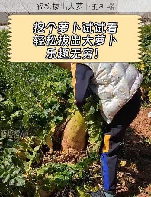 轻松拔出大萝卜的神器