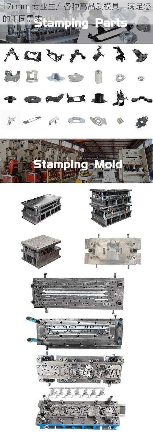 17cmm 专业生产各种高品质模具，满足您的不同需求