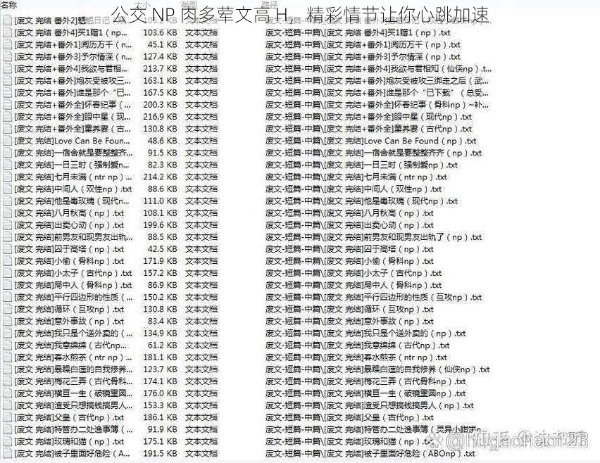 公交 NP 肉多荤文高 H，精彩情节让你心跳加速