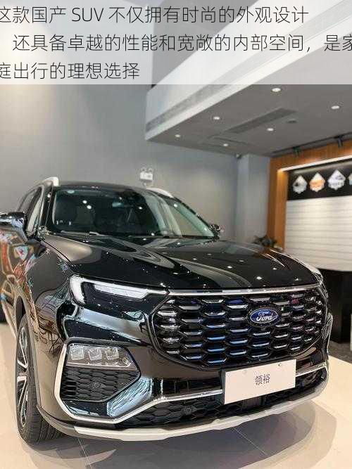 这款国产 SUV 不仅拥有时尚的外观设计，还具备卓越的性能和宽敞的内部空间，是家庭出行的理想选择