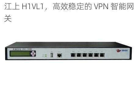 江上 H1VL1，高效稳定的 VPN 智能网关