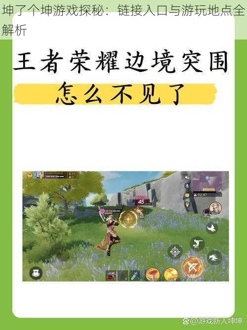 坤了个坤游戏探秘：链接入口与游玩地点全解析