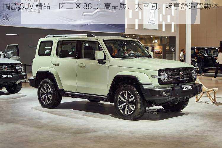 国产 SUV 精品一区二区 88L：高品质、大空间，畅享舒适驾乘体验