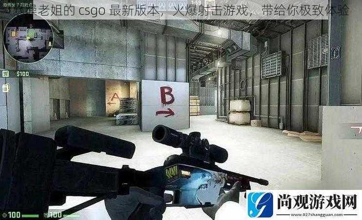 暴躁老姐的 csgo 最新版本，火爆射击游戏，带给你极致体验