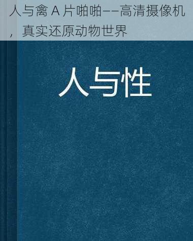 人与禽 A 片啪啪——高清摄像机，真实还原动物世界