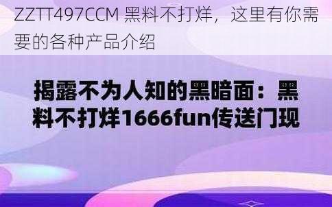 ZZTT497CCM 黑料不打烊，这里有你需要的各种产品介绍