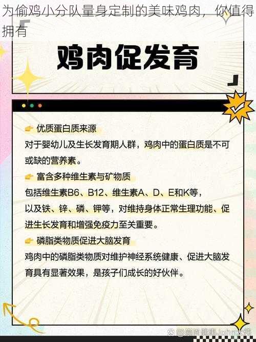 为偷鸡小分队量身定制的美味鸡肉，你值得拥有