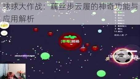 球球大作战：藕丝步云履的神奇功能与应用解析