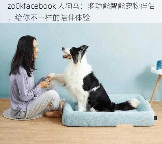 zo0kfacebook 人狗马：多功能智能宠物伴侣，给你不一样的陪伴体验