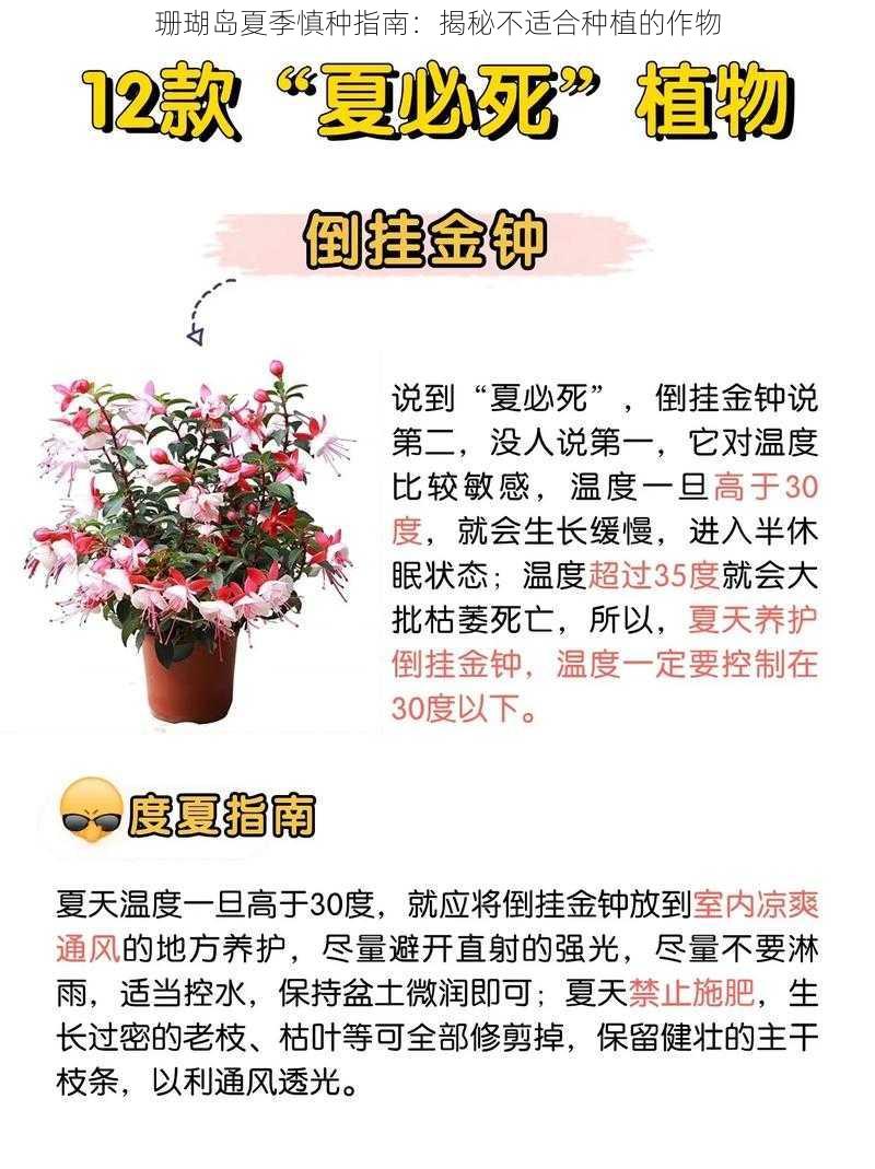 珊瑚岛夏季慎种指南：揭秘不适合种植的作物