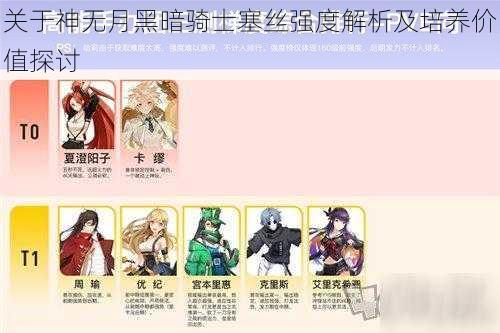 关于神无月黑暗骑士塞丝强度解析及培养价值探讨