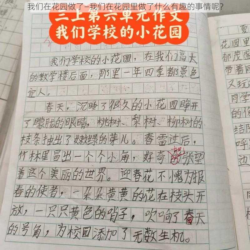 我们在花园做了—我们在花园里做了什么有趣的事情呢？