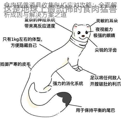 食肉猛兽道具收集BUG应对攻略：全面解析成因与解决方案之道