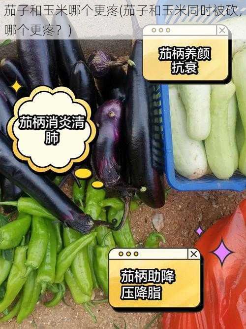 茄子和玉米哪个更疼(茄子和玉米同时被砍，哪个更疼？)