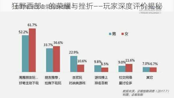 狂野西部：的荣耀与挫折——玩家深度评价揭秘