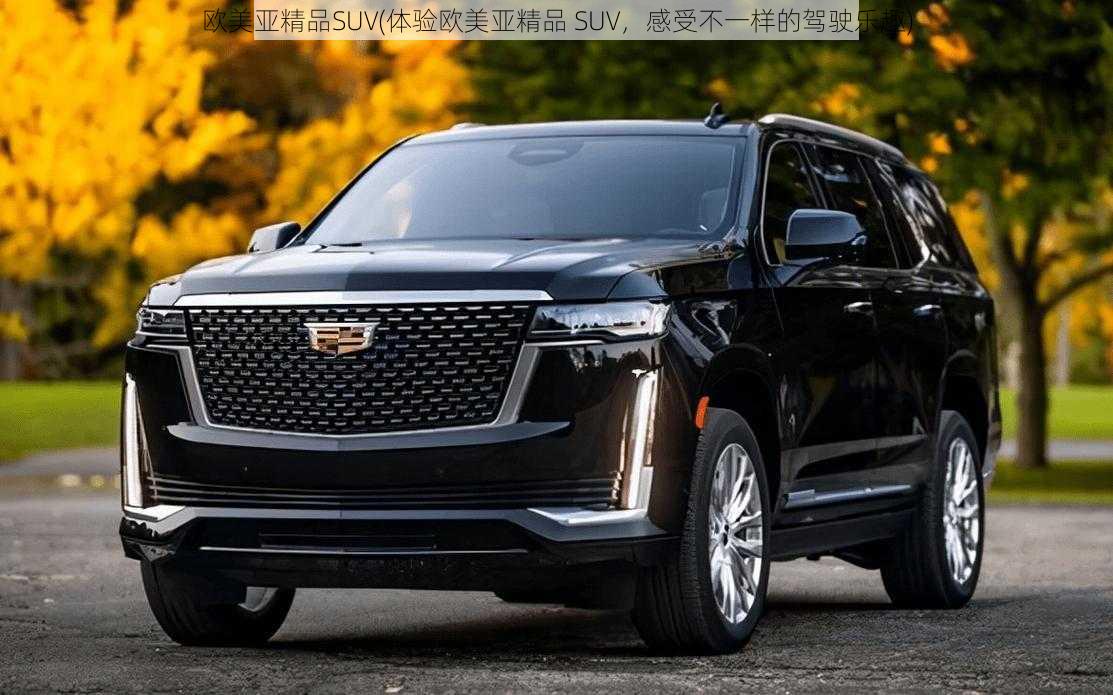 欧美亚精品SUV(体验欧美亚精品 SUV，感受不一样的驾驶乐趣)