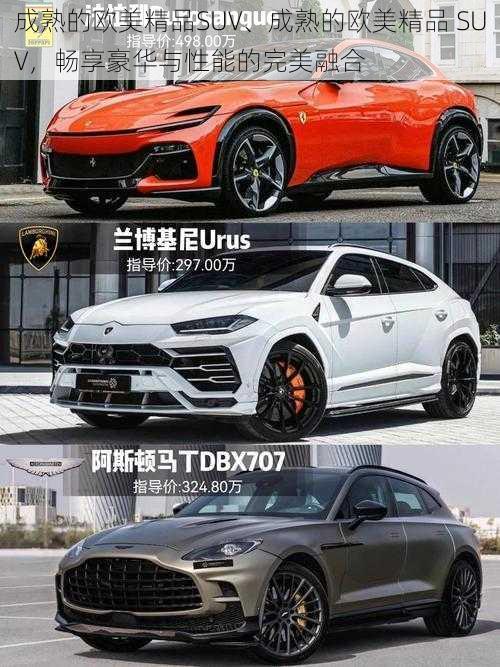 成熟的欧美精品SUV、成熟的欧美精品 SUV，畅享豪华与性能的完美融合